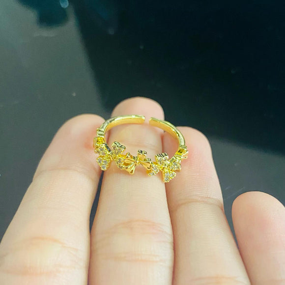 Anillo coquette