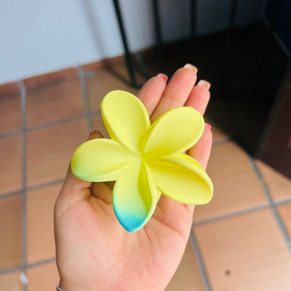 Caimán flor plumeria amarillo azul